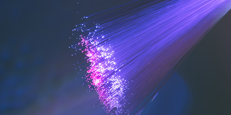 Purple Fibre Optics